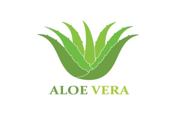 Aloe Vera Logo Icon Vector Illustration Design Template