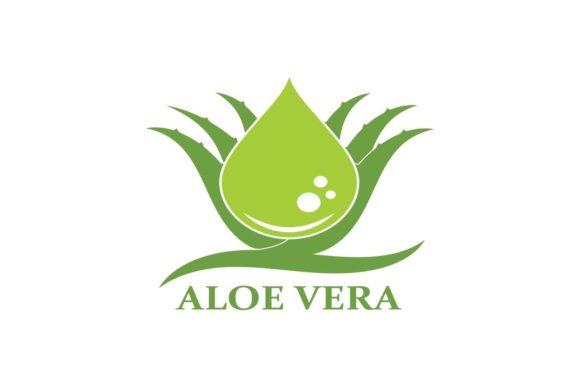 Aloe Vera Vector Illustration Template: Fresh Design Elements