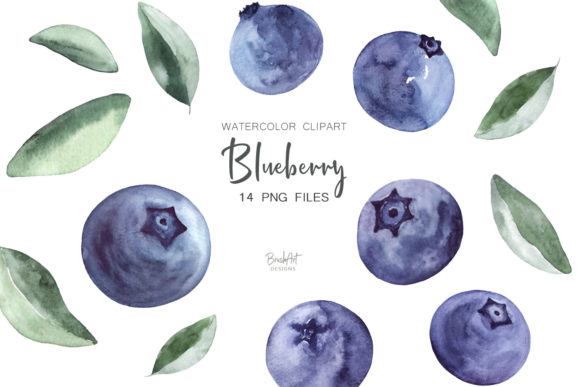 Blueberries Watercolor Clipart: A Fresh Collection for Your Projects