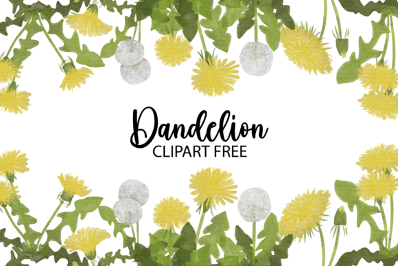 Dandelion Clipart Free: A Watercolor Set for Fresh Design