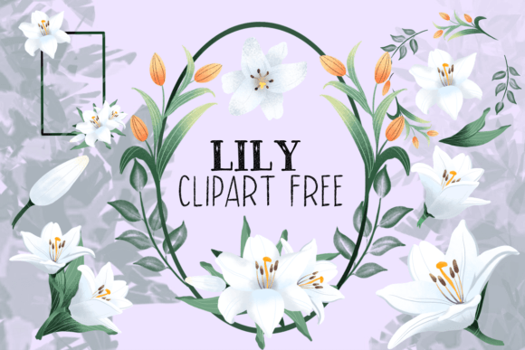 Lily Clipart Free: Elegant Botanicals for Your Designs