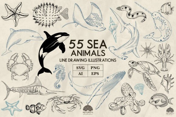 Unlocking Creativity with Sea Animals Line Art Collection Svg Png