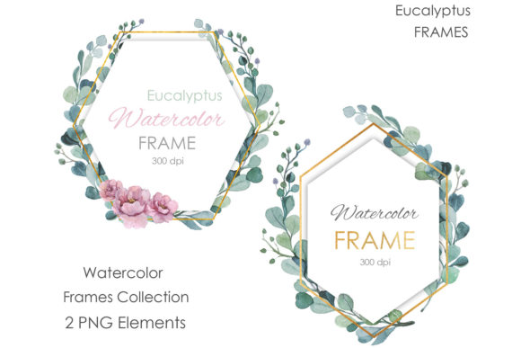 Watercolor Eucalyptus Clipart Greenery for Modern Design