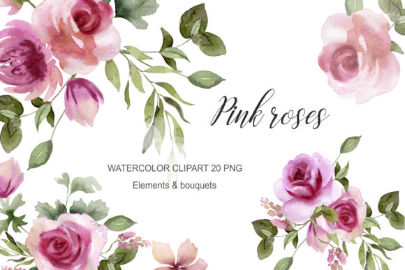Watercolor Flowers Pink Rose Clipart for Modern Designs
